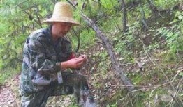 娱乐吃瓜酱拐进大山,揭秘不为人知的奇幻之旅